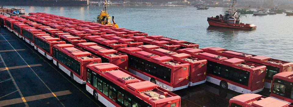 ¡Llegaron 300 nuevos buses para Red Movilidad!